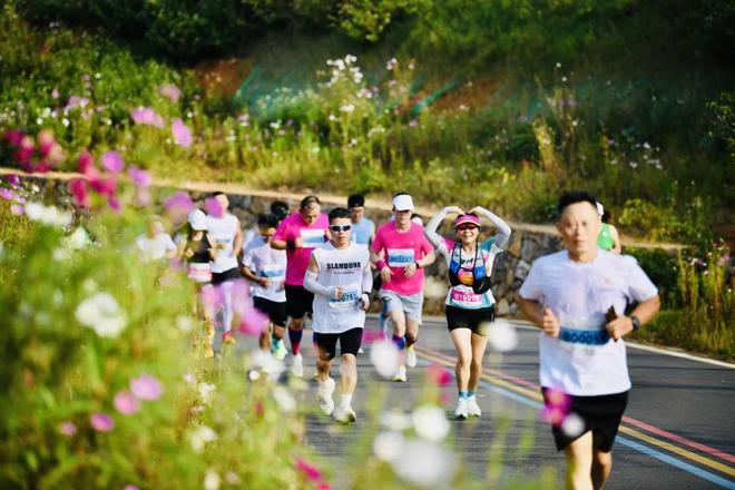 央视关注丨CCTV-5报道2024万峰林半8868体育官方网站程马拉松赛道尽显自然美景和人文底蕴(图3)